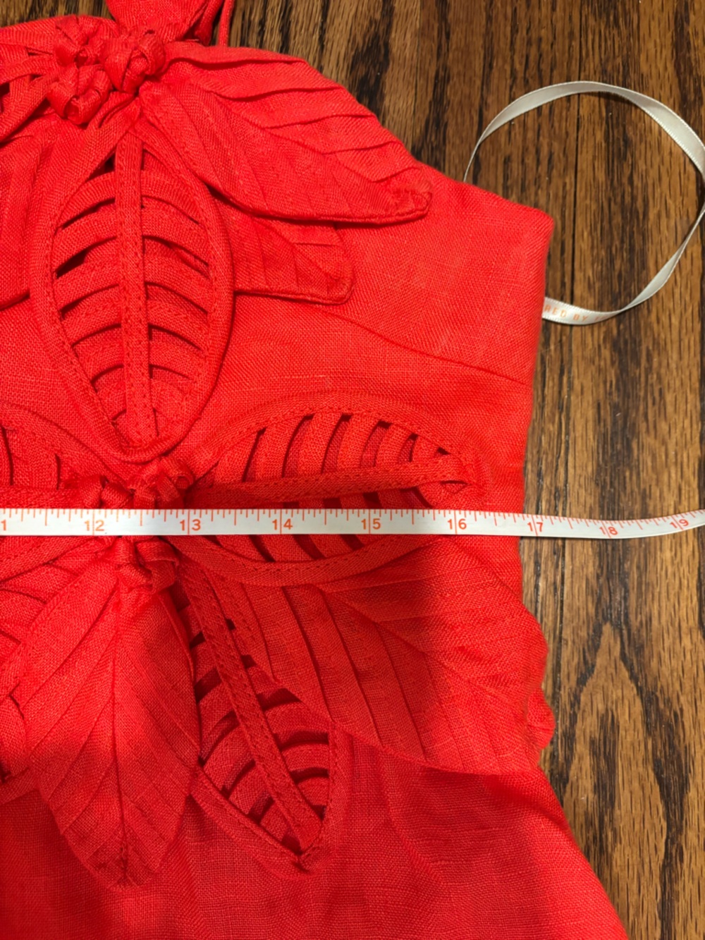 FARM Rio Red Leaf-Applique Spaghetti Strap Mini Dress - Picture 13 of 13